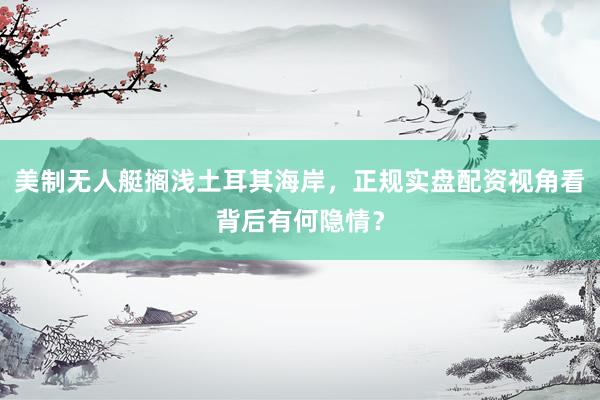 美制无人艇搁浅土耳其海岸，正规实盘配资视角看背后有何隐情？