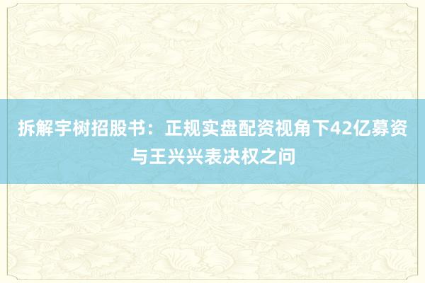拆解宇树招股书：正规实盘配资视角下42亿募资与王兴兴表决权之问